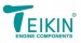 Логотип TEIKIN